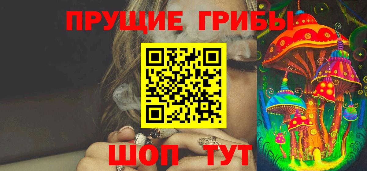 Галлюциногенные грибы Psilocybe Куйбышев