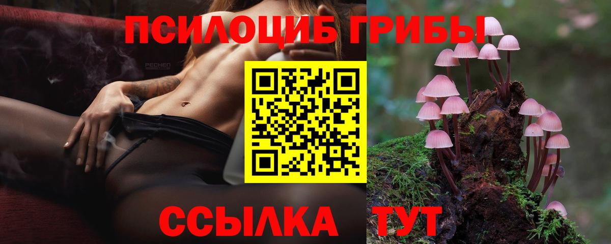 Куйбышев  Псилоцибиновые грибы Psilocybine cubensis  Вход с VPN 